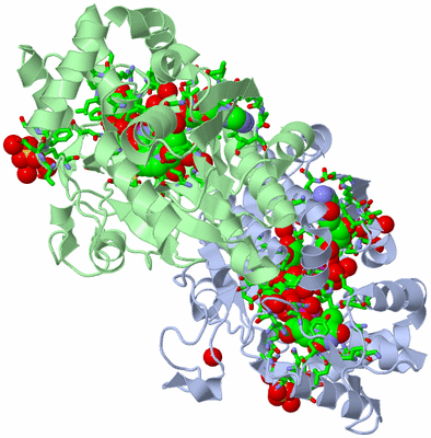 Image Asym./Biol. Unit - sites