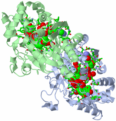 Image Asym./Biol. Unit - sites