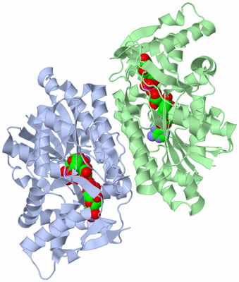 Image Asym./Biol. Unit