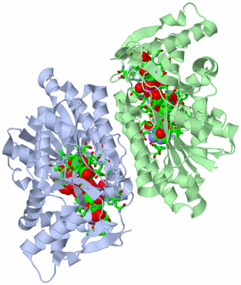 Image Asym./Biol. Unit - sites