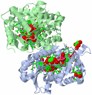 Image Asym./Biol. Unit - sites