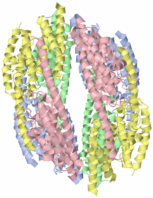 Image Biological Unit 1