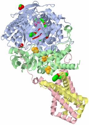 Image Biological Unit 1