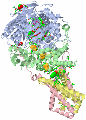 Image Biol. Unit 1 - sites