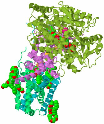 Image Biological Unit 2