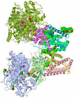 Image Biological Unit 3