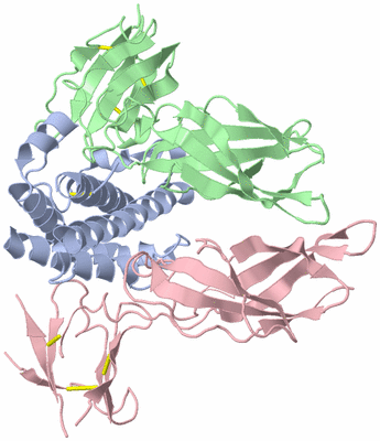 Image Biological Unit 1