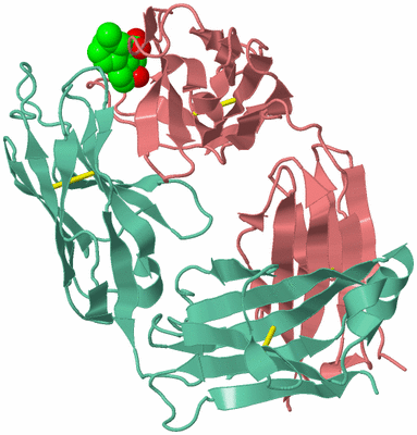 Image Biological Unit 1