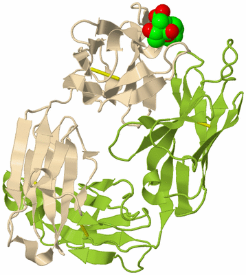 Image Biological Unit 2