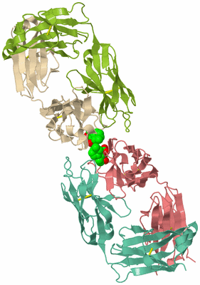 Image Biological Unit 3