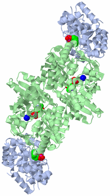 Image Biological Unit 1