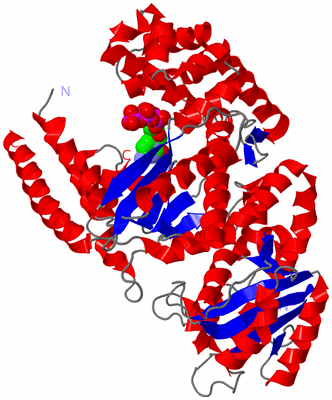 Image Asym./Biol. Unit