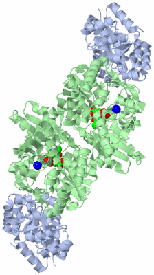 Image Biological Unit 1