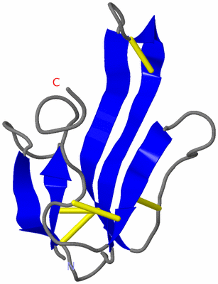 Image NMR Structure - model 1