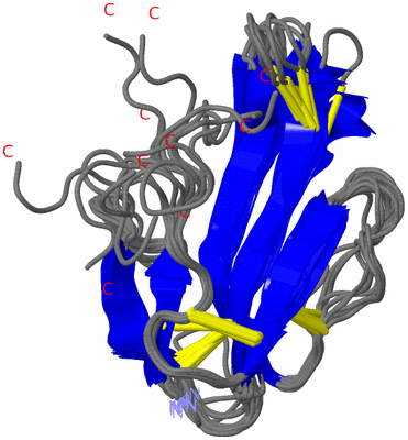 Image NMR Structure - all models