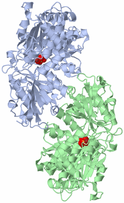 Image Asym./Biol. Unit