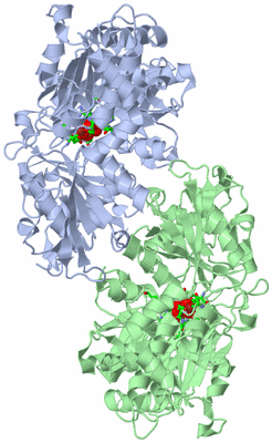 Image Asym./Biol. Unit - sites