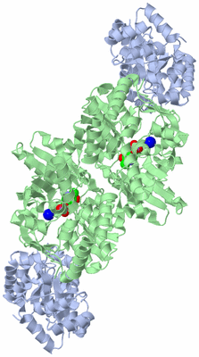 Image Biological Unit 1