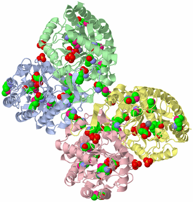 Image Biological Unit 1