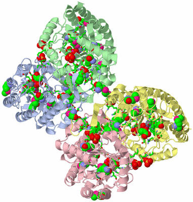 Image Biol. Unit 1 - sites