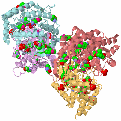 Image Biological Unit 2