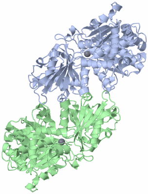 Image Asym./Biol. Unit