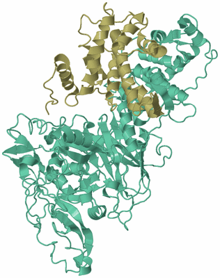 Image Asym./Biol. Unit