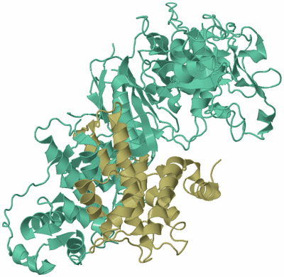 Image Asym./Biol. Unit