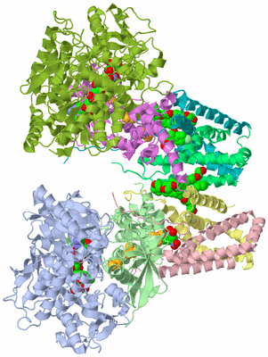 Image Biological Unit 3