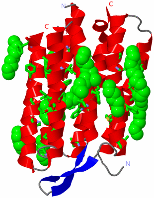 Image Asym. Unit - sites