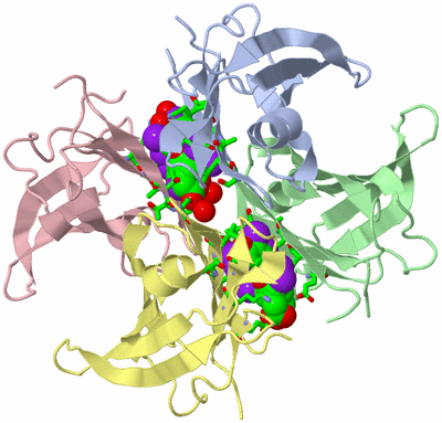 Image Asym./Biol. Unit - sites