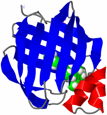 Image NMR Structure - model 1