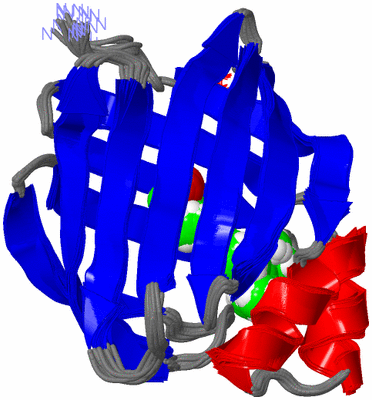 Image NMR Structure - all models