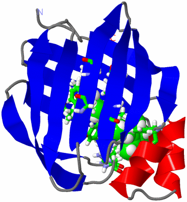 Image NMR Structure - model 1, sites