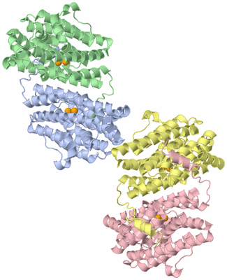 Image Asymmetric Unit
