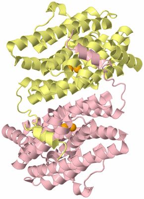 Image Biological Unit 2
