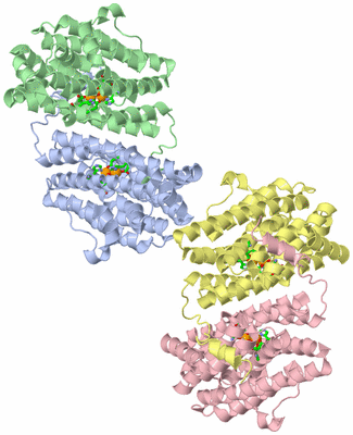 Image Asym. Unit - sites