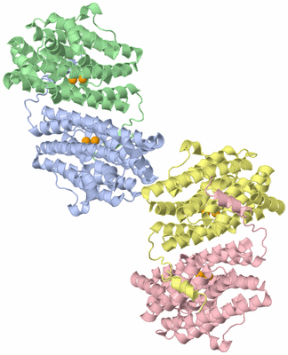 Image Asymmetric Unit