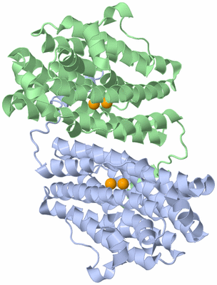 Image Biological Unit 1