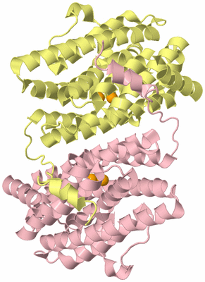 Image Biological Unit 2