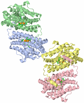 Image Asym. Unit - sites