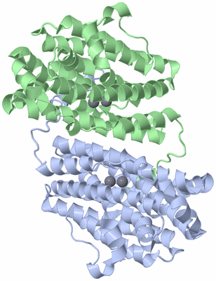 Image Biological Unit 1