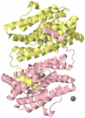 Image Biological Unit 2