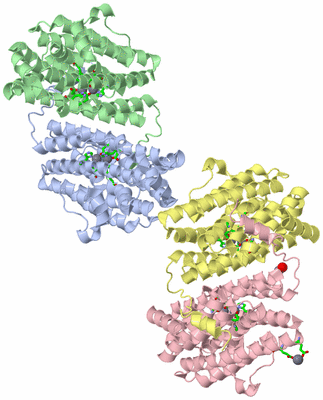 Image Asym. Unit - sites