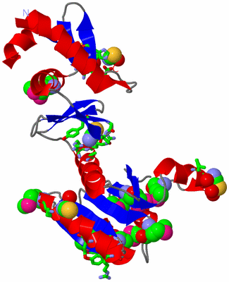 Image Asym./Biol. Unit - sites