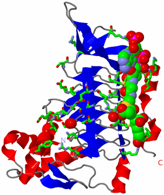 Image Asym. Unit - sites