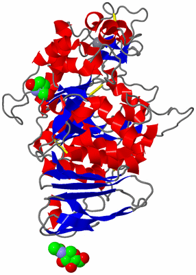 Image Asym./Biol. Unit