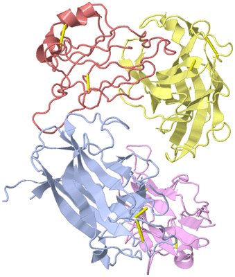 Image Biological Unit 1