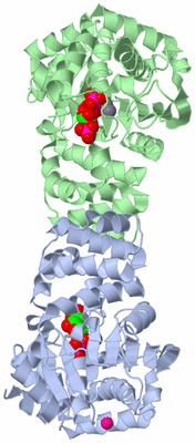 Image Asym./Biol. Unit