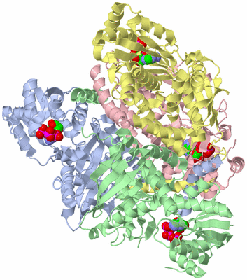 Image Asym./Biol. Unit